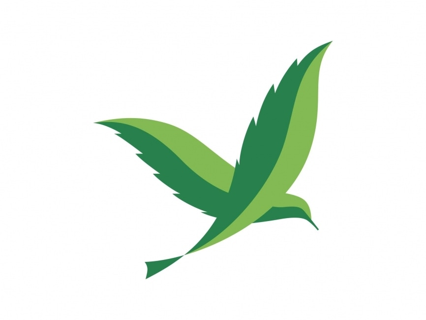 Green Bird Logo Template