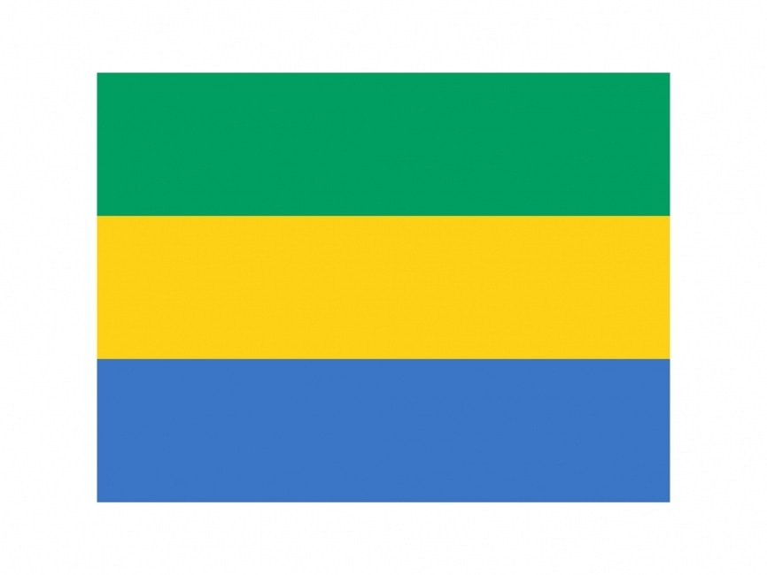Gabon Flag Logo
