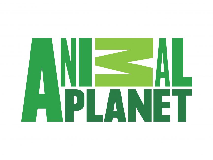 Animal Planet Old Logo