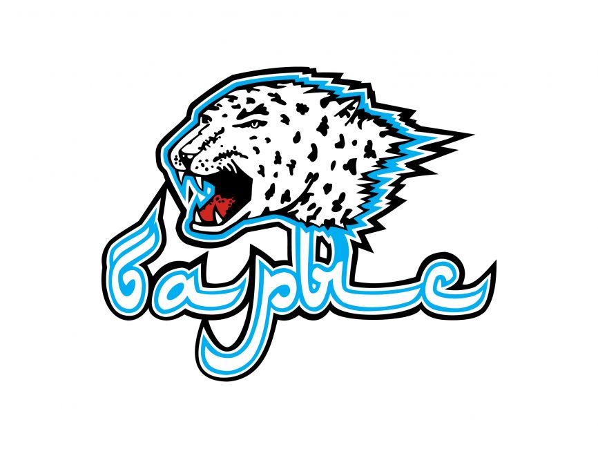 Barys Nur Sultan Logo