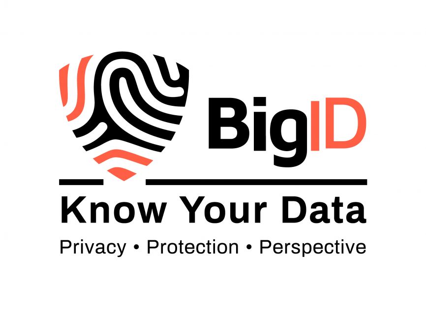 BigID Logo