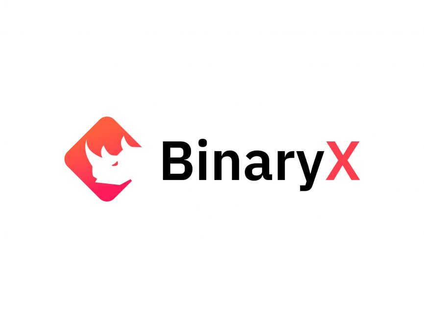 binaryx crypto