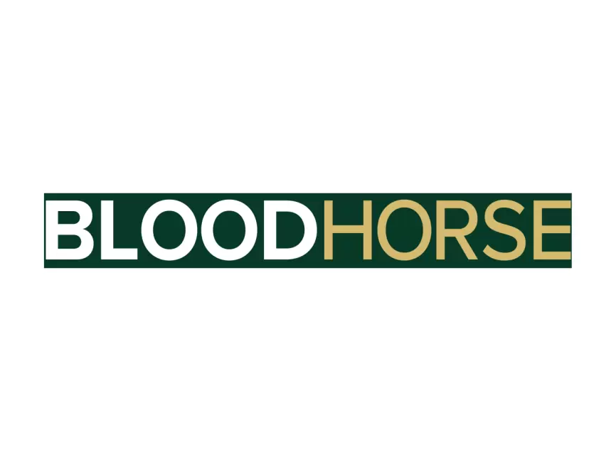 BloodHorse Logo PNG vector in SVG, PDF, AI, CDR format