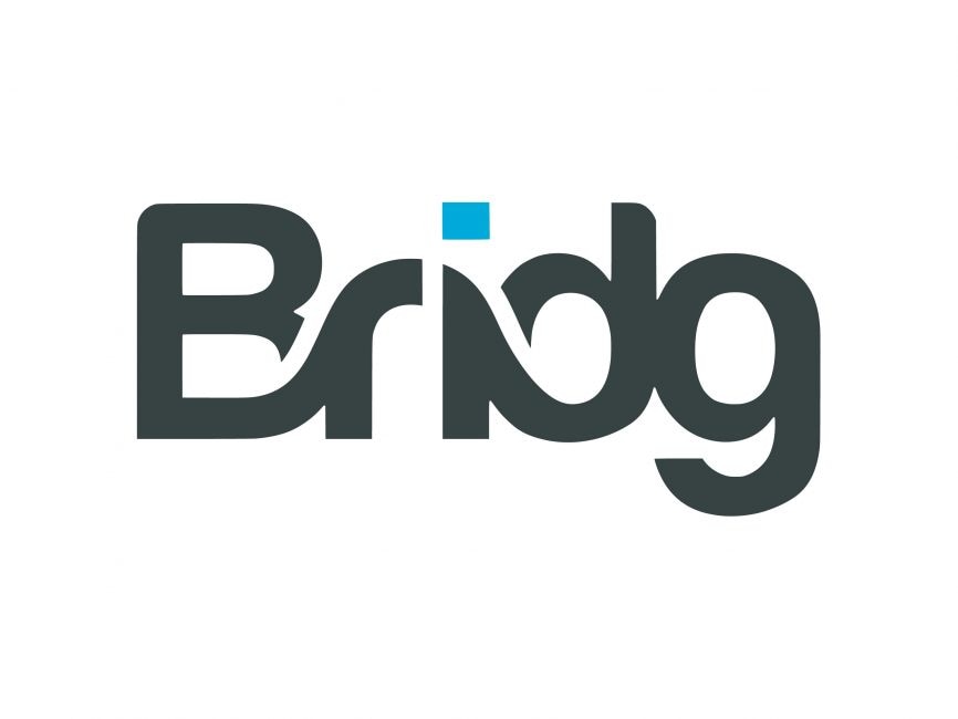 Bridg Logo
