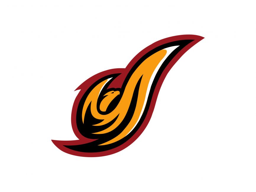 District of Columbia Firebirds Logo