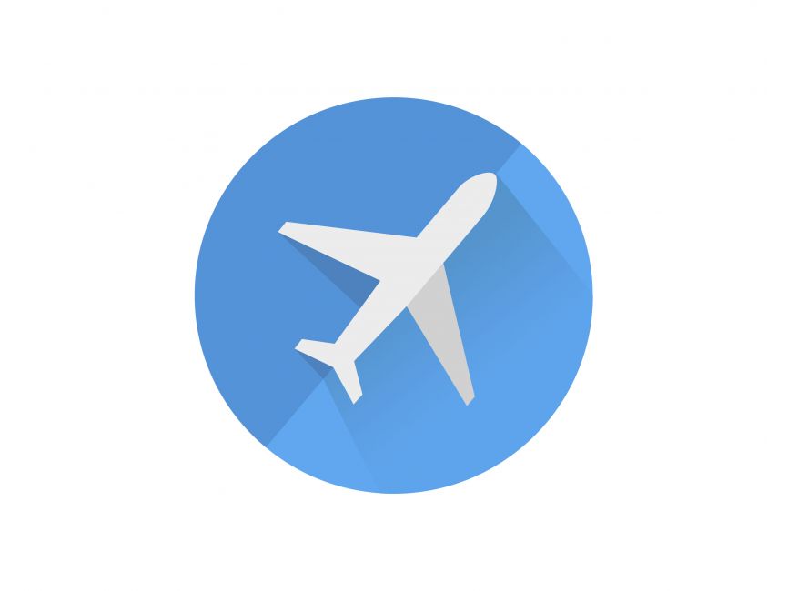 Google Flight Logo