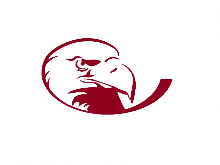 Lock Haven Bald Eagles Logo