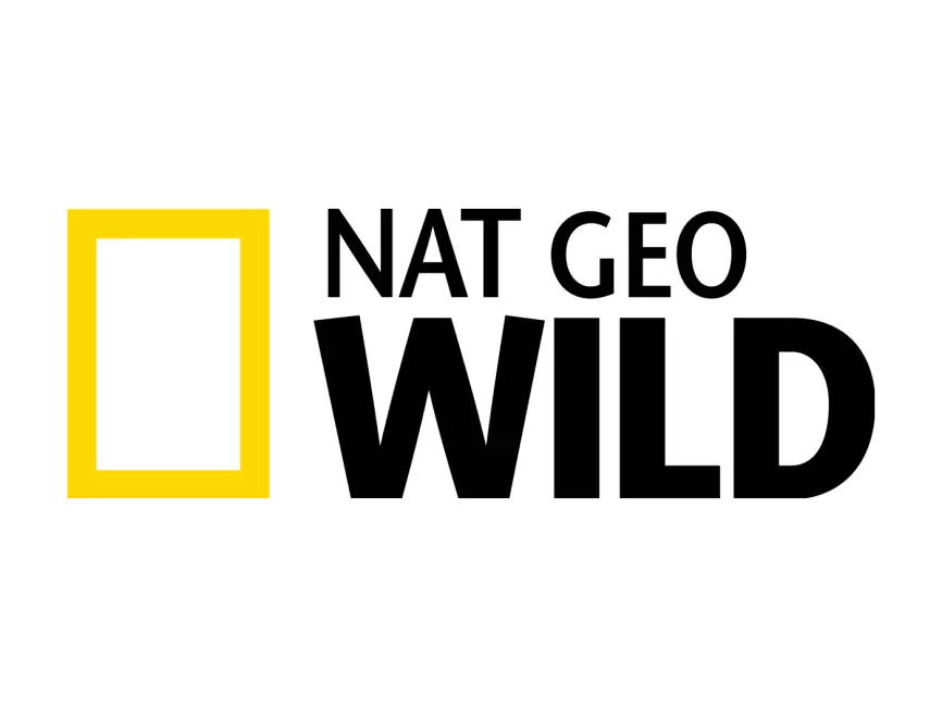 NAT GEO WILD logo stickers for cars, bikes, laptops and others | Logo  sticker, Wild logo, Car stickers
