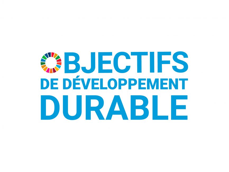 Sustainable Development Goals French Logo