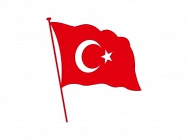 Türk Bayrağı Logo