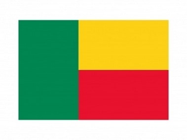 Benin Flag Logo