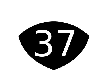 37 Snyder Patch Logo