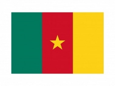 Cameroun Flag Logo