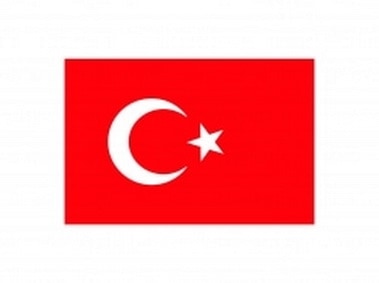 Turkish Flag Logo