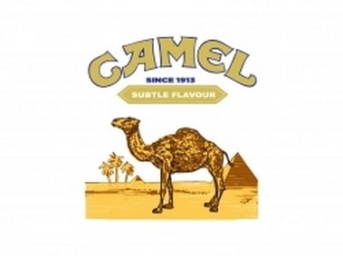 Camel Cigarette Logo