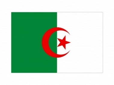 Algeria Flag Logo