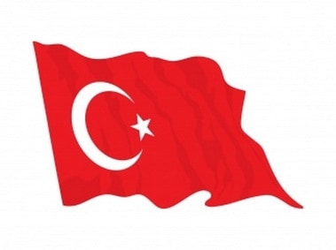 Türk Bayrağı Vector
