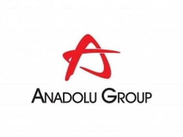Anadolu Group Logo