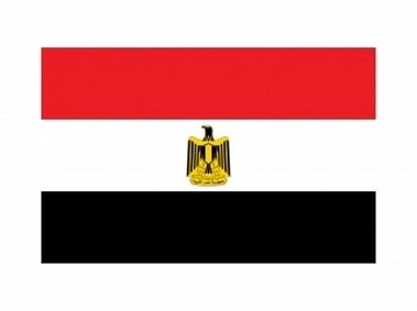 Egyptian Flag Logo