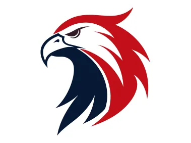 Abstract Eagle Head Logo Template