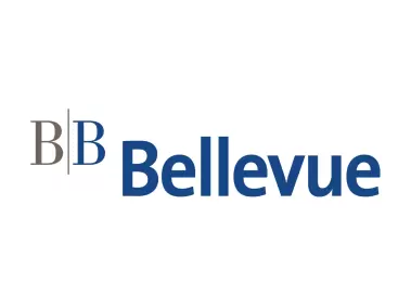Bellevue Group Logo