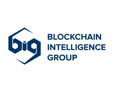 Big Blockchain Intelligence Group Logo
