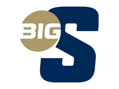 Big South Conference icon in Charleston Southern colors Logo