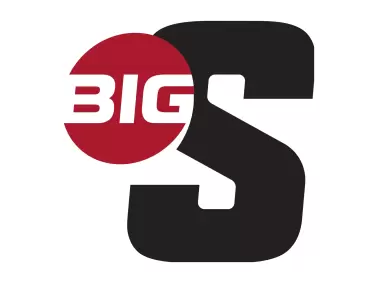 Big South Conference icon in Gardner Logo