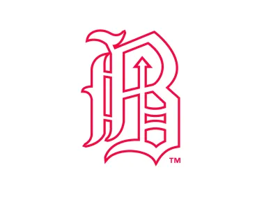 Birmingham Barons Logo
