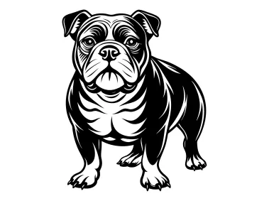 Black Bulldog Logo Template