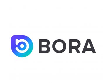 Bora Coin (Ecosystem) Logo