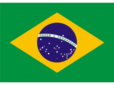 Brazil Flag Logo