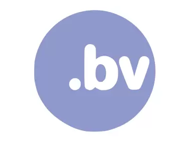 .bv Domain Logo