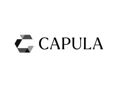 Capula Investment Management New 2024 Logo