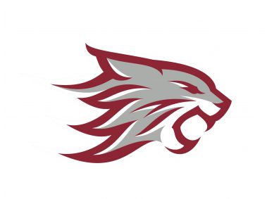 Chico State Wildcats Logo