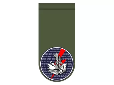 Computer Service Directorate tag Logo