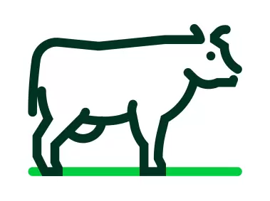 Cow Icon
