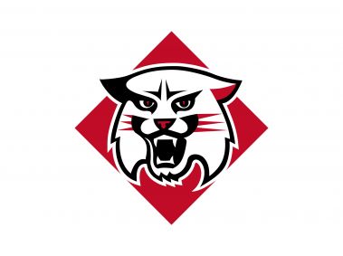 Davidson Wildcats