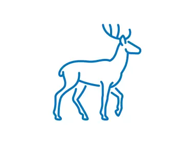 Deer Line Icon