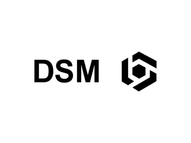 DSM Black Logo
