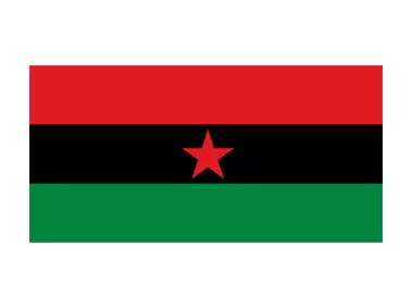 Flag of the APSP African People's Socialist Party Logo