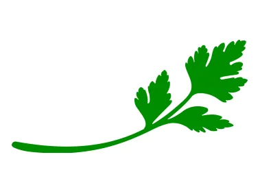 Free Vector Parsley Vector