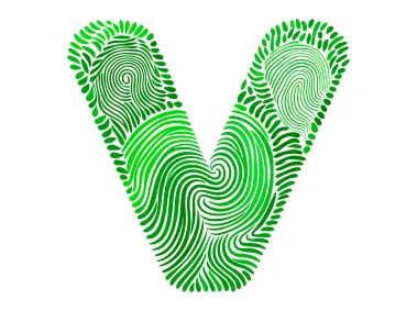 Green Letter V Logo Template