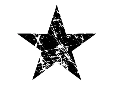 Grunge Star Logo Template