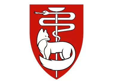 IDF Medical Corps at Southern Command Logo