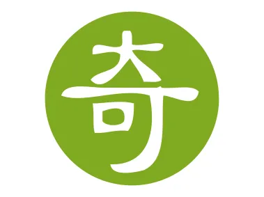 iQiyi Icon Logo