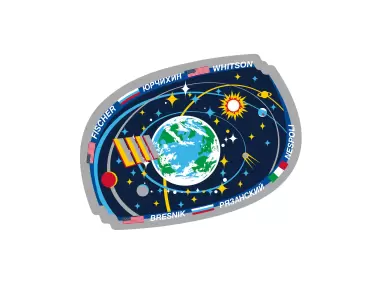 ISS Expedition 52 Grey Logo