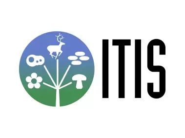 ITIS Integrated Taxonomic Information System Logo