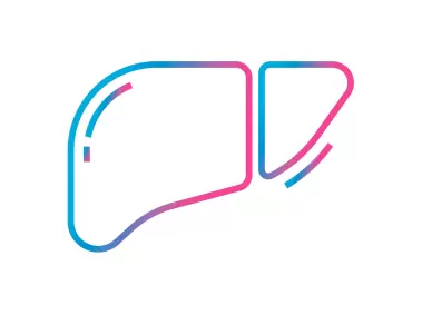 Liver Icon