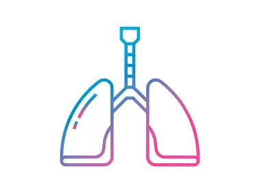 Lung Icon